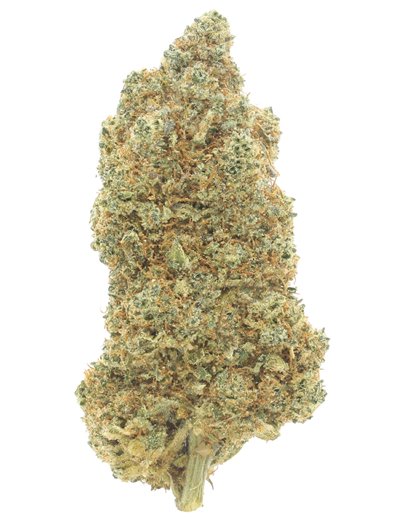 lime cookie infiorescenza