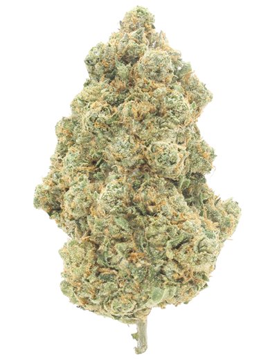 ak47 infiorescenza