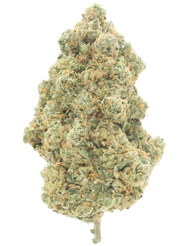 ak47 infiorescenza
