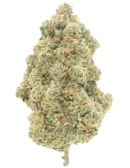 ak47 infiorescenza