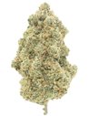 ak47 infiorescenza