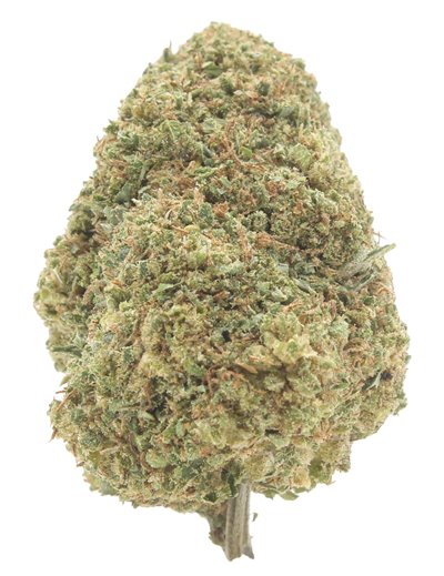 super skunk infiorescenza
