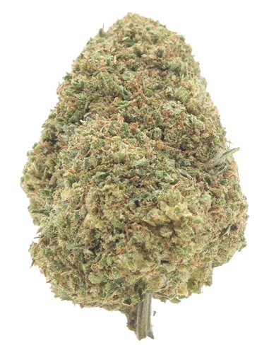 super skunk infiorescenza