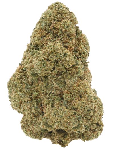 super silver haze infiorescenza