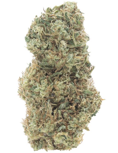 orange bud infiorescenze