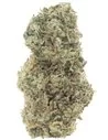 orange bud infiorescenze