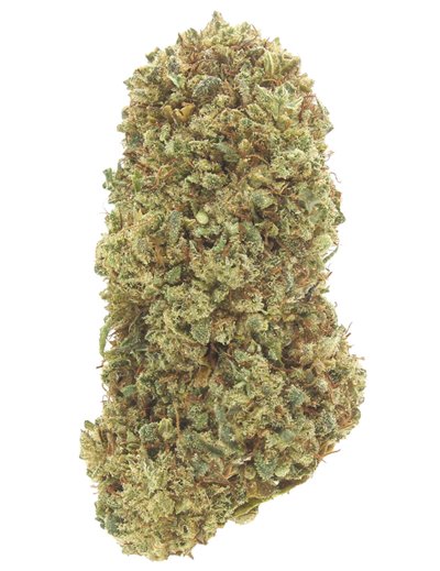 lemon haze infiorescenza