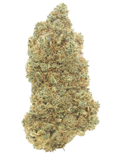 lime cookie infiorescenza