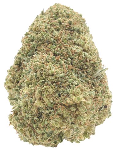 super skunk infiorescenza