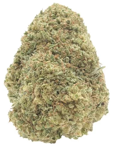super skunk infiorescenza