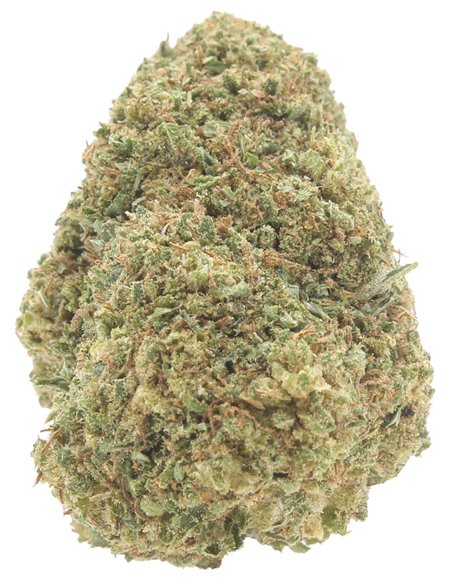 super skunk infiorescenza