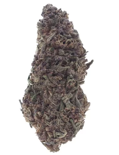 purple queen infiorescenza
