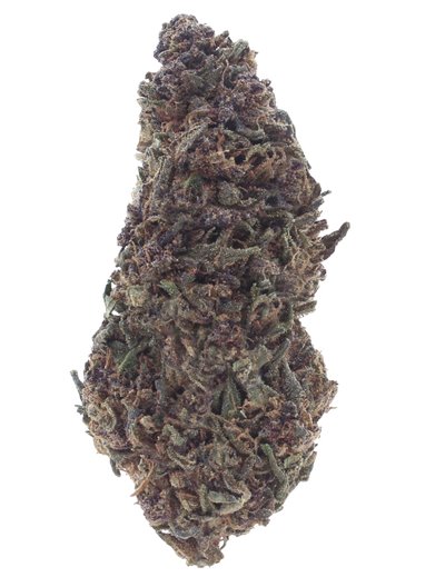 purple queen infiorescenza