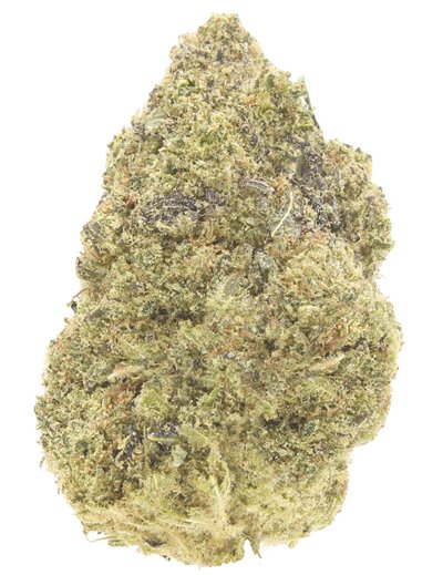 girl scout cookies infiorescenza