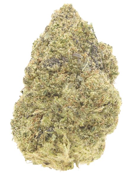 girl scout cookies infiorescenza