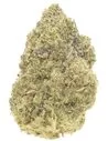 girl scout cookies infiorescenza