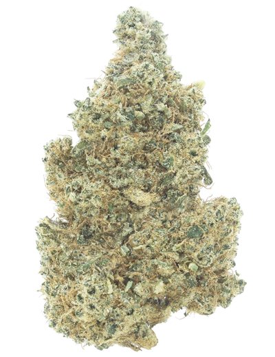 green apple infiorescenza