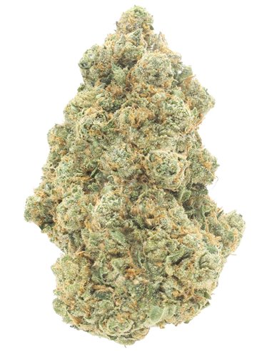 ak47 infiorescenze