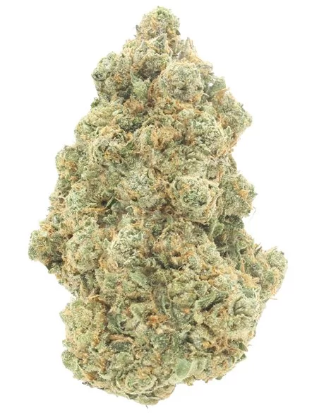 ak47 infiorescenze