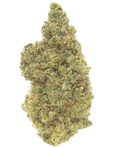 pineapple express infiorescenza