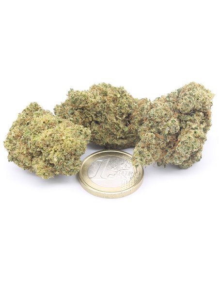 pineapple express infiorescenza