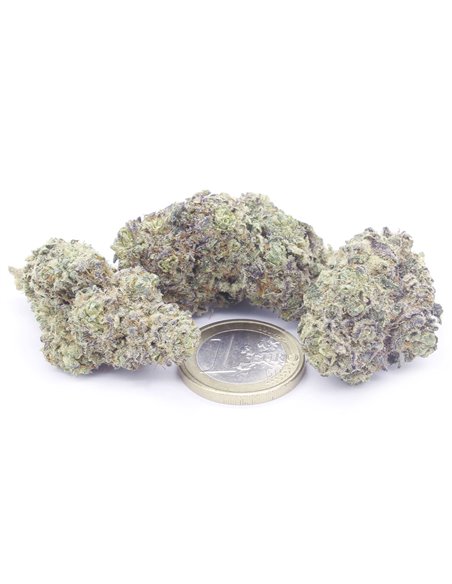 zkittlez infiorescenza