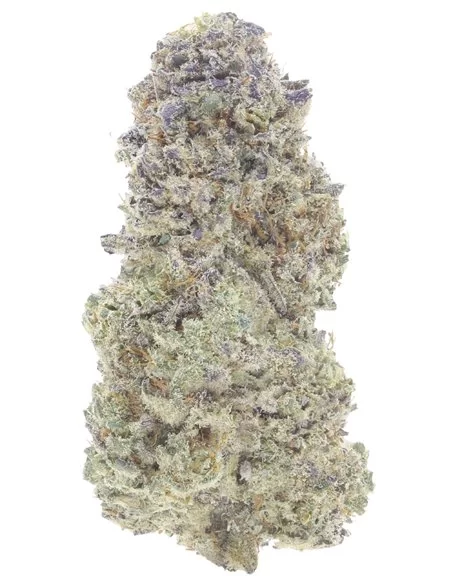 zkittlez infiorescenza