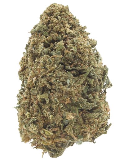 amnesia haze infiorescenza