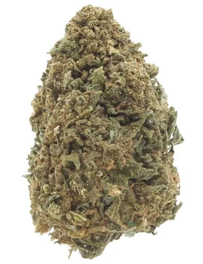 amnesia haze infiorescenza