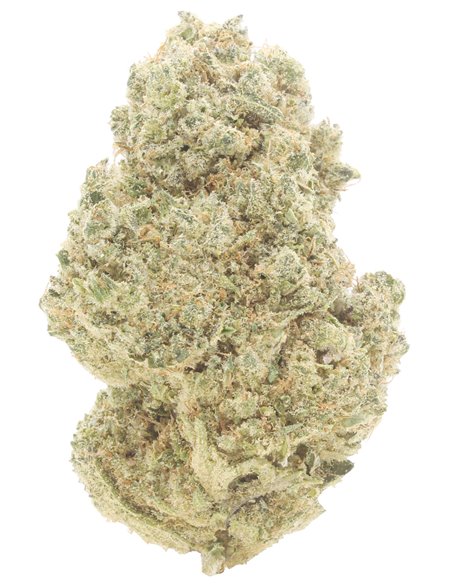 white widow infiorescenza