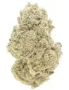 white widow infiorescenza