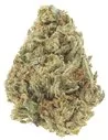 gelato 41 infiorescenze