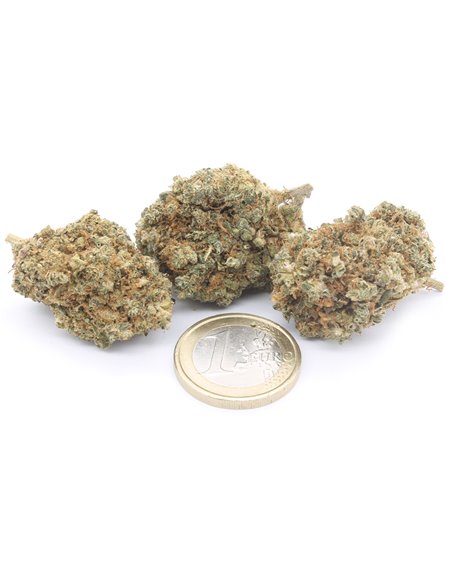 OG Kush