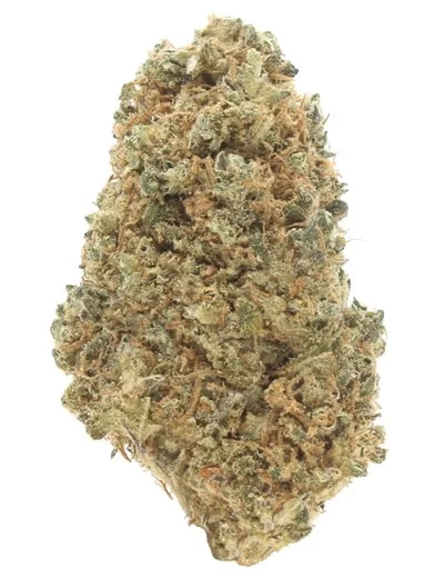 OG Kush