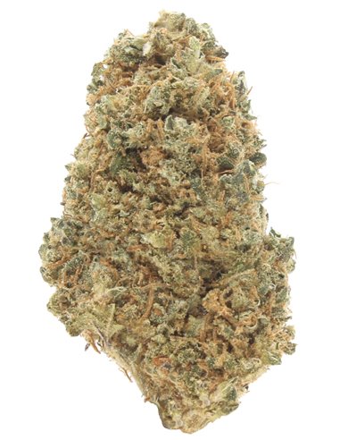 OG Kush