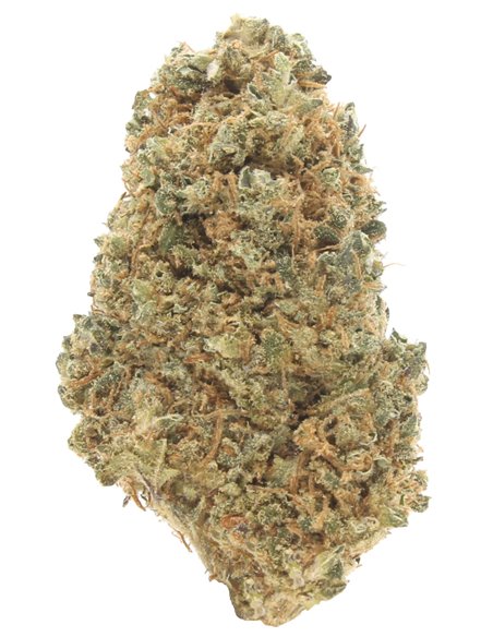 OG Kush
