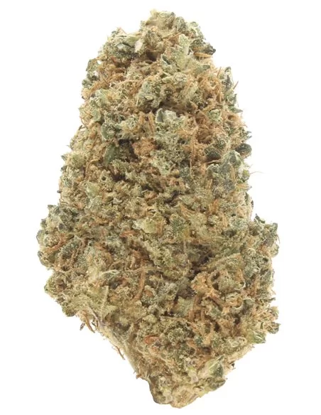 OG Kush