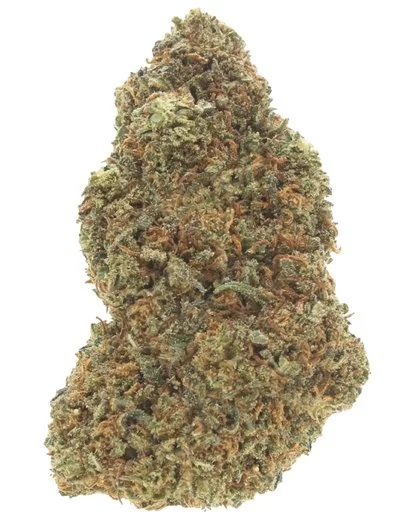 blue dream infiorescenza