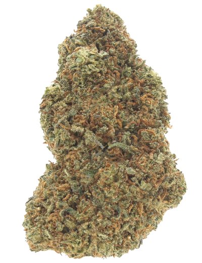 blue dream infiorescenza