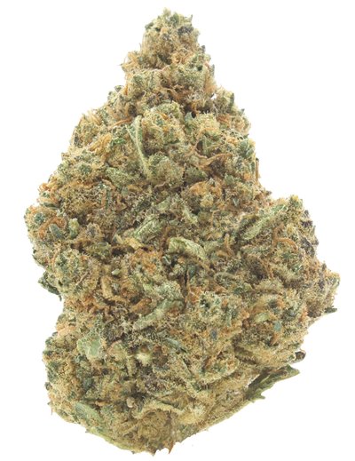 gorilla glue infiorescenza