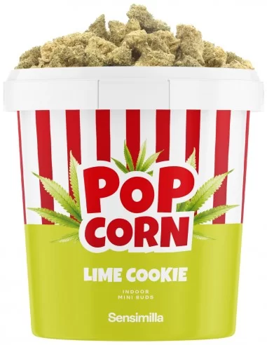 Lime Cookie Popcorn