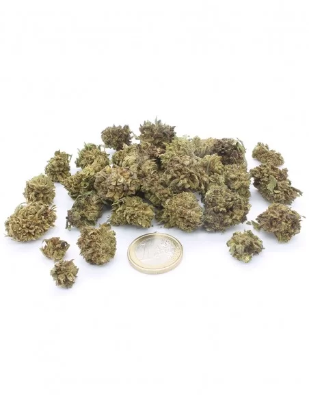 cannatonic popcorn