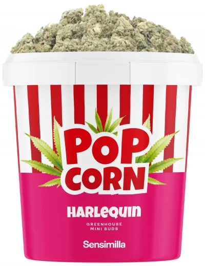 harlequin popcorn