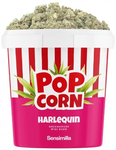 harlequin popcorn