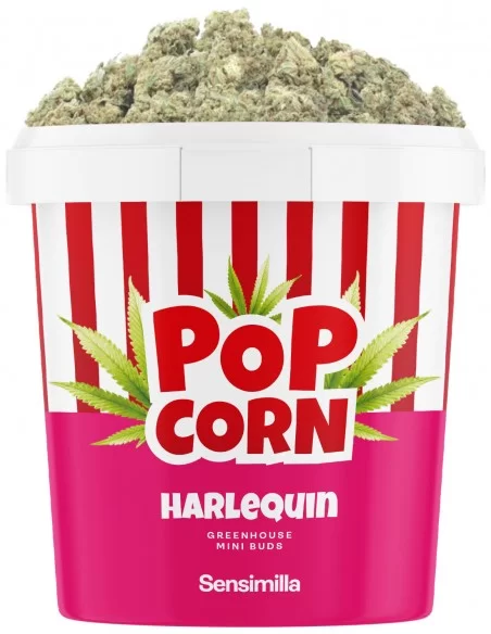 harlequin popcorn