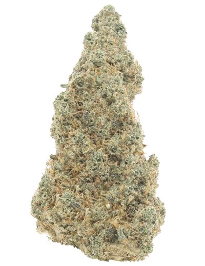 gorilla glue infiorescenza