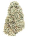 northern lights