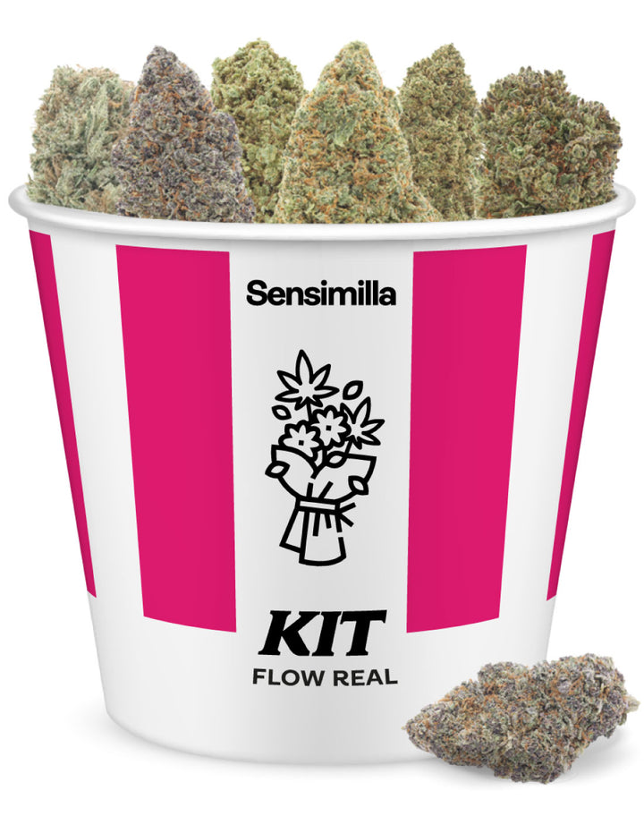 Flow Real Set 20g