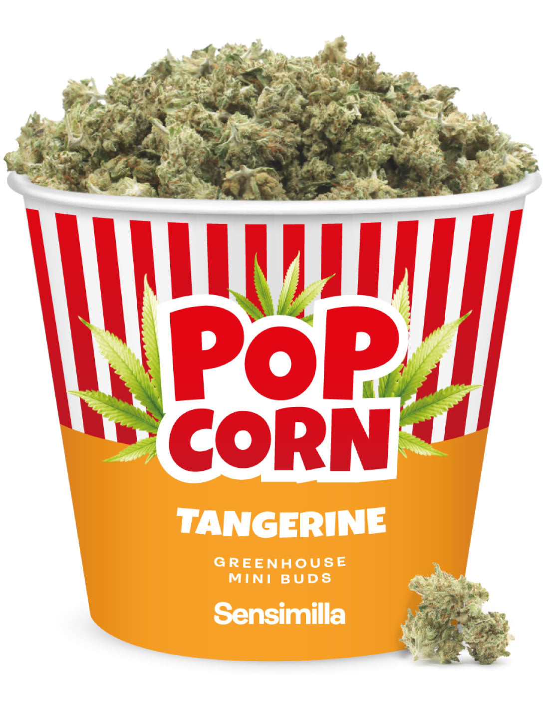 Tangerine Pop Corn