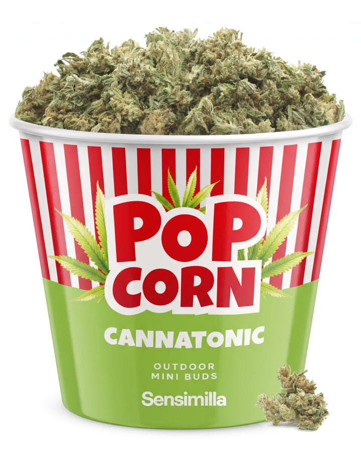 Cannatonic Popcorn